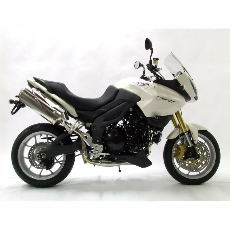 R&G Racing Schwingen Protektoren Triumph Tiger 1050 2007-