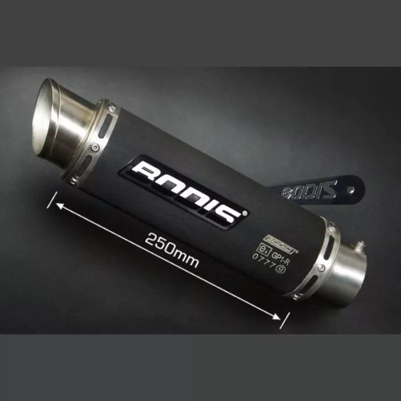 Bodis GP1-R Black Auspuff Endschalldämpfer BMW S 1000 R 2014-2016