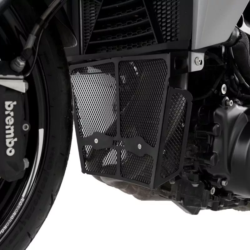 R&G Racing Krümmerschutz BMW F 900 R 2020-