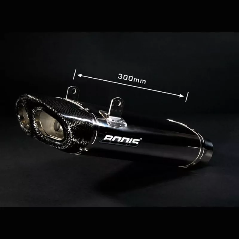 Bodis Q5 Auspuff Suzuki B-King 2007-