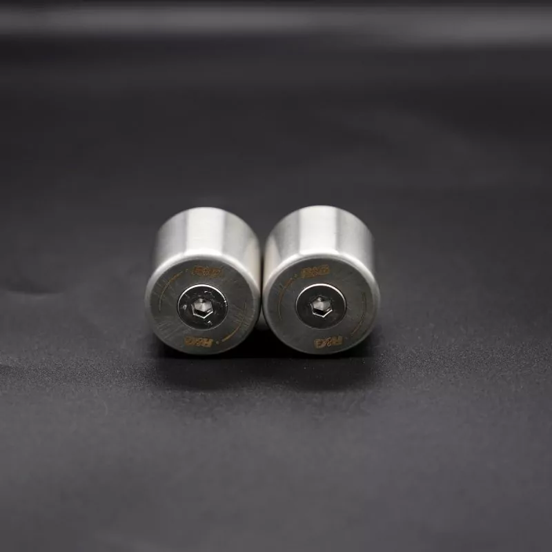 R&G Lenker Protektoren "Edelstahl" Harley-Davidson Pan America 1250