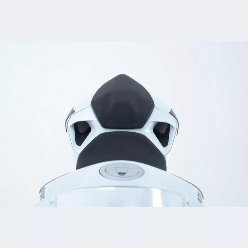 R&G Racing Carbon Heck Protektor Ducati 899 / 1199 Panigale