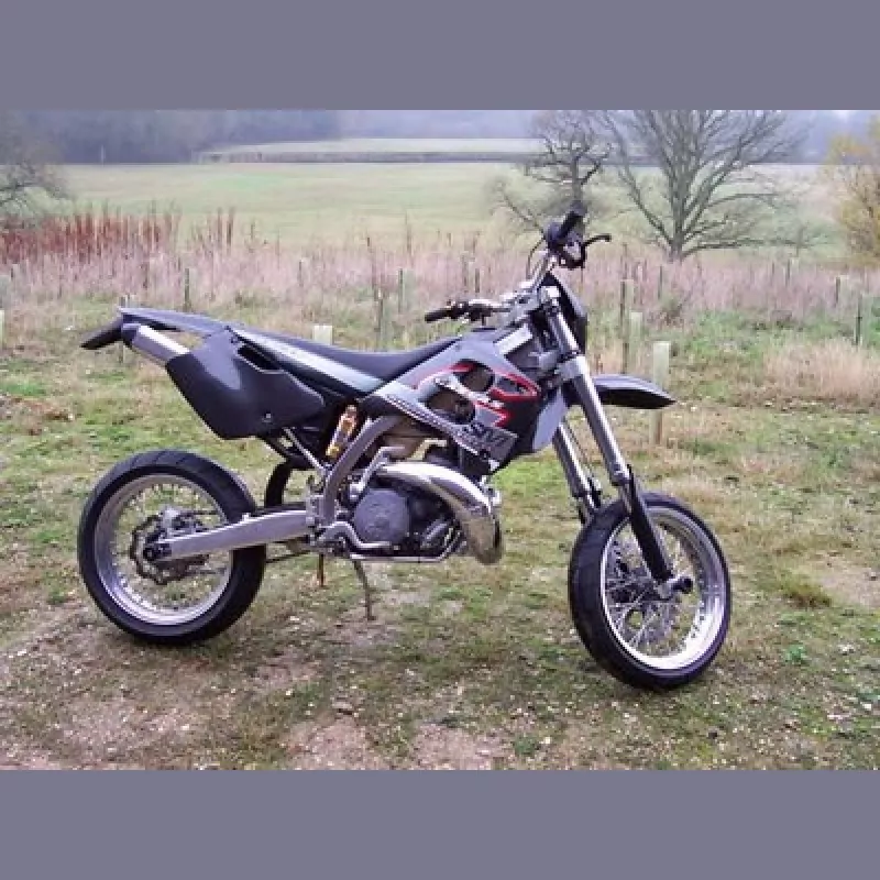 R&G Racing Schwingen Protektoren GasGas 125 / 250 / 450