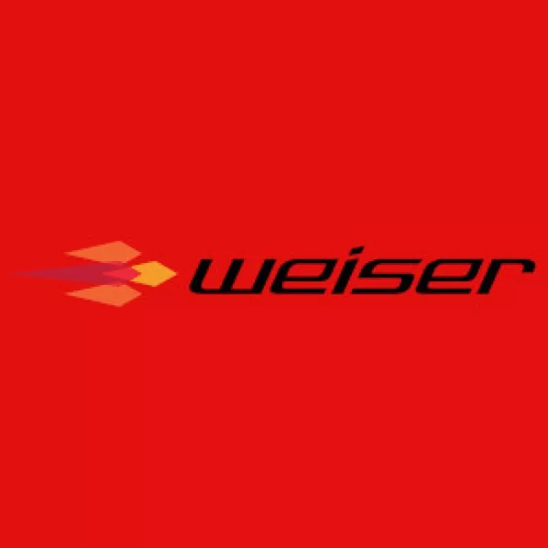 Weiser Wizards Heckblinker Modul passend für BMW Modelle | tuning-parts24