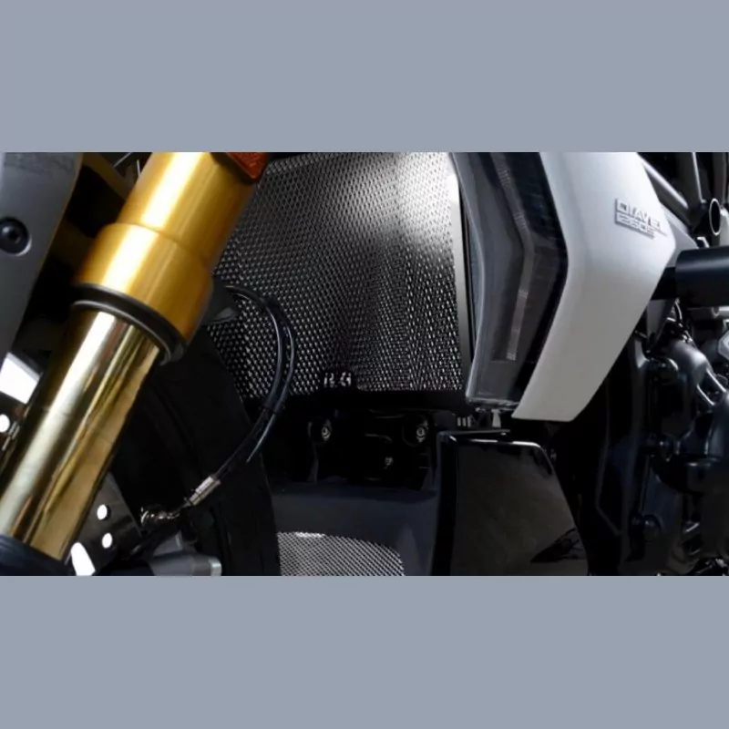 R&G Kühlergitter Schutz Ducati Diavel 1260 2021-