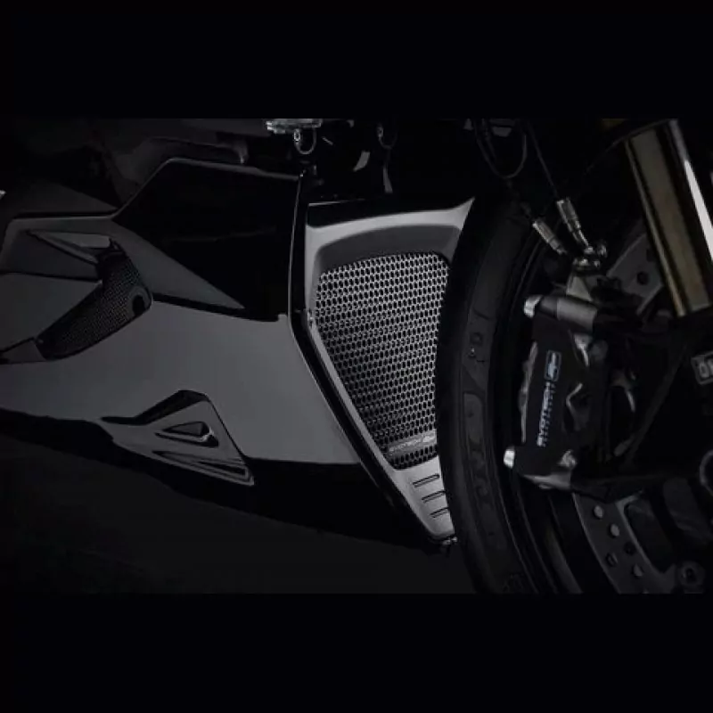 Evotech Kühlerschutz Gitter Set Ducati Diavel 1260|S 2019-