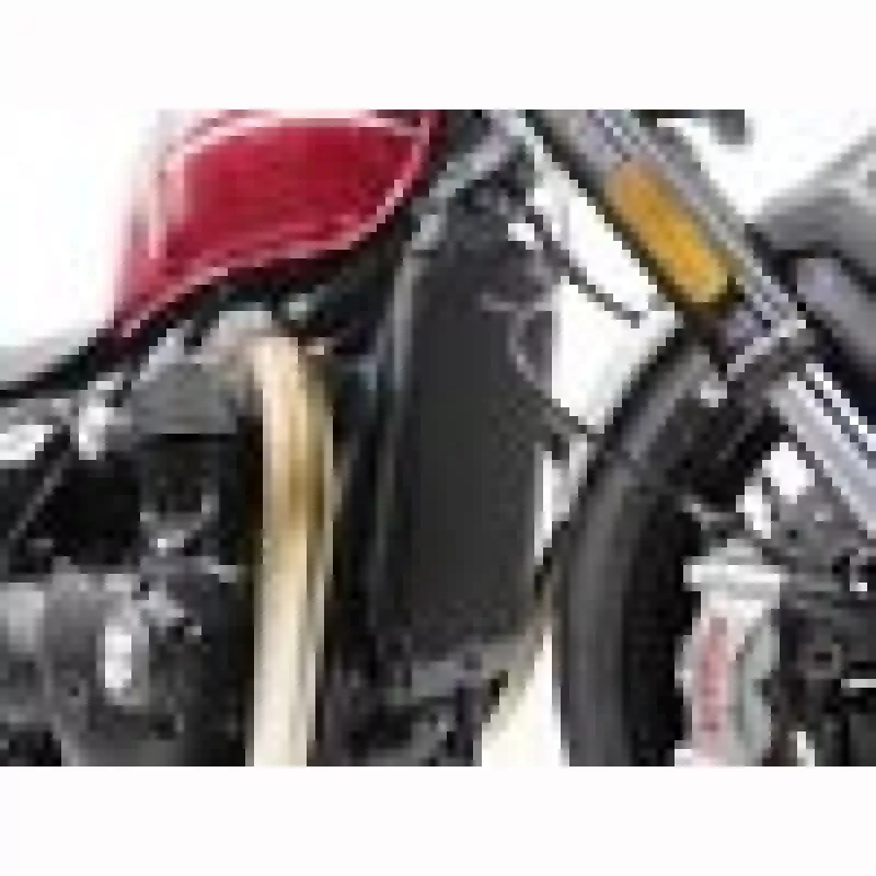 Evotech Kühlerschutz Triumph Bonneville T100|T120 / Speed Twin 900|1200 / Thruxton 1200