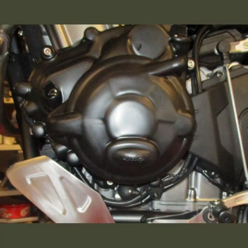 R&G Motordeckel Protektor Set Honda CRF 1100 Africa Twin / Adventure Sports (DCT ONLY)