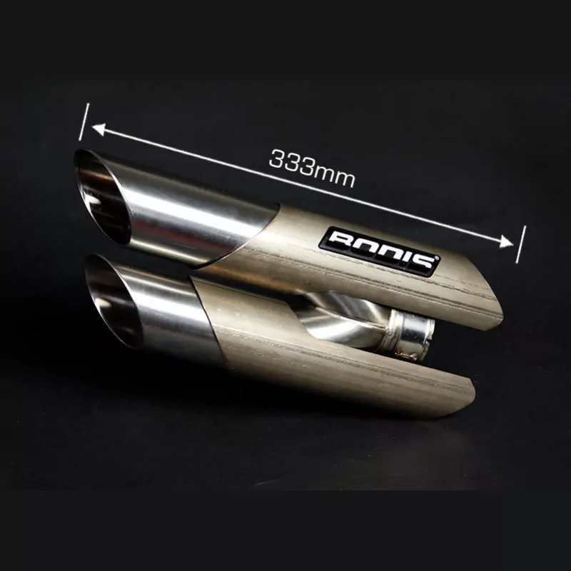 Bodis Duobolico Endschalldämpfer Triumph Daytona 675 13-