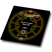 Gandini Racing 520 Aluminium 7075-T6 Kettenrad passend für Kawasaki Modelle Gandini Racing 520 Aluminium 7075-T6 Kettenrad passend für Kawasaki Modelle