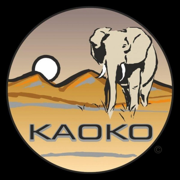 Kaoko Gasgriff-Arretierung „Drive Control“ passend für Husqvarna TR650 Terra