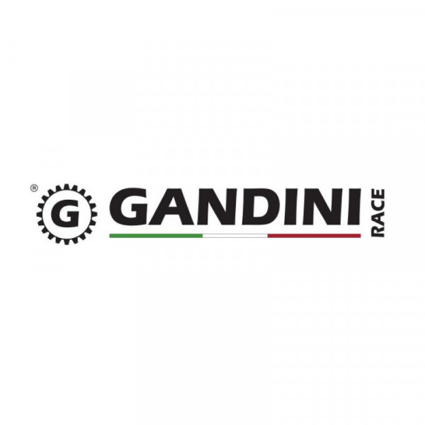 Gandini Racing 520 Aluminium 7075-T6 Kettenrad passend für Ducati Modelle