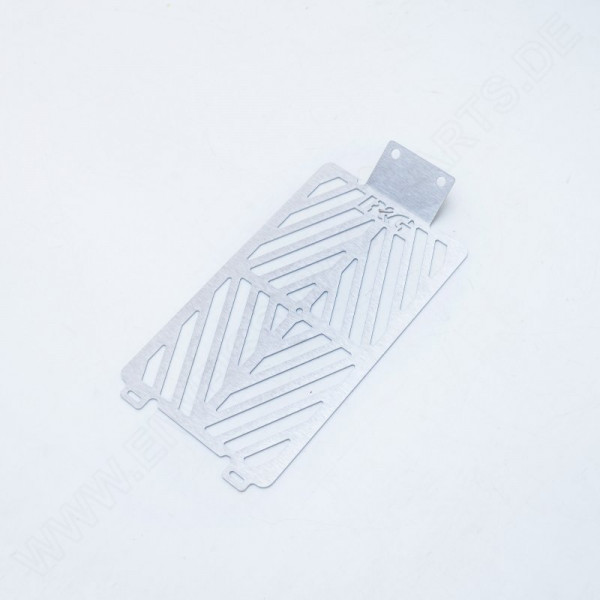 R&G Oil Cooler Guard stainless steel Indian FTR 1200 2019-