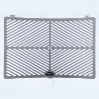 R&G Guard stainless steel Yamaha YZF-R1 / R1 M 2015- / MT-10 2016- R&G Guard stainless steel Yamaha YZF-R1 / R1 M 2015- / MT-10 2016-