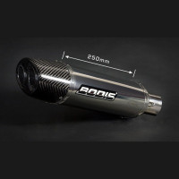 Bodis Q1 Muffler Honda CBR 600 RR 2005-2006 PC 37 Bodis Q1 Muffler Honda CBR 600 RR 2005-2006 PC 37