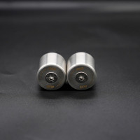 R&G Lenker Protektoren Edelstahl passend für Harley-Davidson Pan America 1250 R&G Lenker Protektoren Edelstahl passend für Harley-Davidson Pan America 1250