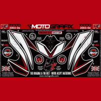 Motografix Steinschlagschutz passend für Kawasaki Z 1000 2003-2006 Motografix Steinschlagschutz passend für Kawasaki Z 1000 2003-2006