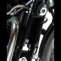 R&G Racing Kühlergitter Ölkühler passend für Triumph Thruxton 900 R&G Racing Kühlergitter Ölkühler passend für Triumph Thruxton 900