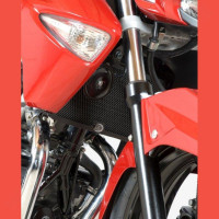 R&G Racing Radiator Guard Suzuki Inazuma 250 2013- R&G Racing Radiator Guard Suzuki Inazuma 250 2013-