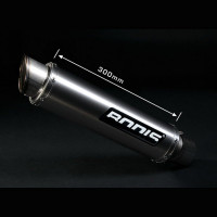 Bodis GP1 Auspuff passend für Kawasaki ZX-6 R / ZX-10 R Bodis GP1 Auspuff passend für Kawasaki ZX-6 R / ZX-10 R